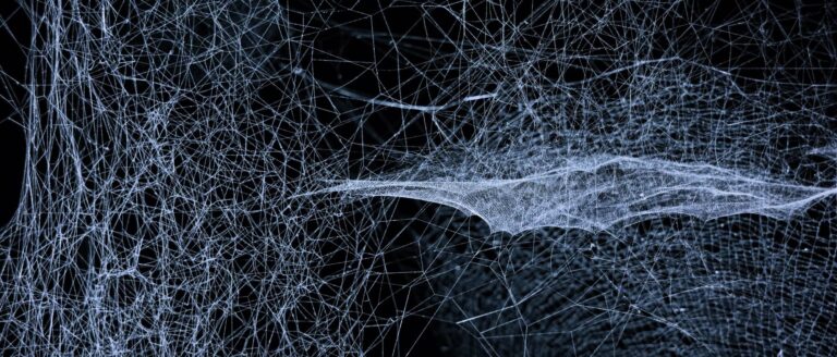 Neuronales Netz (Bild: Unsplash/Jingyi Wang)