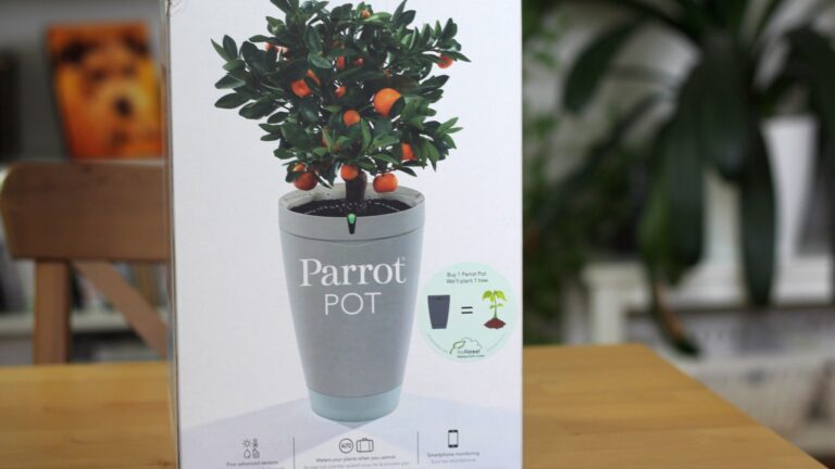 Parrot Pot: So funktioniert der intelligente Blumentopf