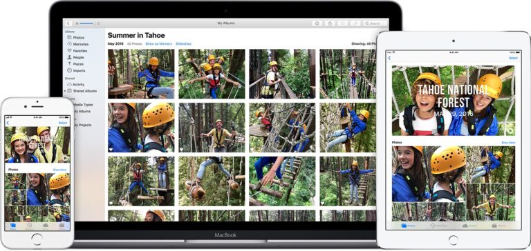 Die iCloud Fotomediathek hilft beim Fotos sortieren. (Foto: Apple)