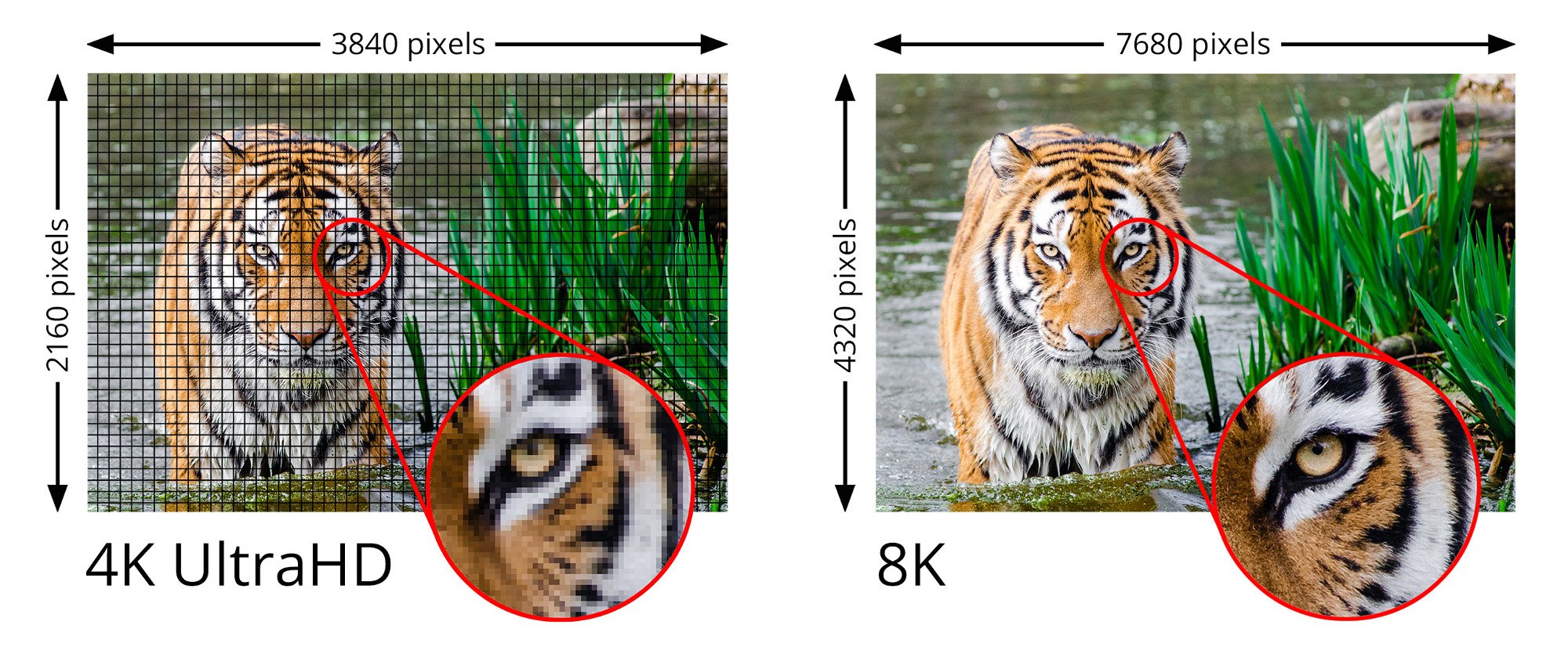 Die vielen Pixel der 8K-Auflösung machen das Bild einiges glatter (Bild: HDMI Forum)