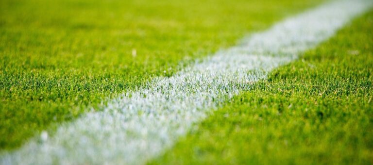 Außenlinie eines Fußballfelds (Bild: Pixabay/StockSnap)