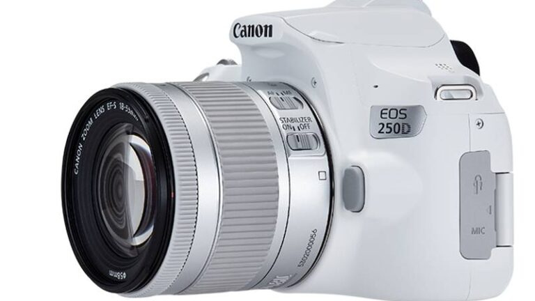 Canon EOS 250D: „Leichteste Spiegelreflexkamera“ im Vergleich zu DSLMs