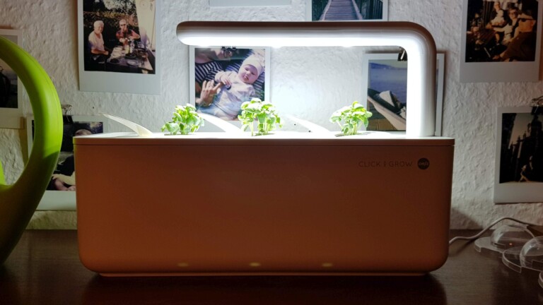 Emsa Smart Garden Click & Grow im Test: Kleiner Indoor-Garten für frisches Gemüse