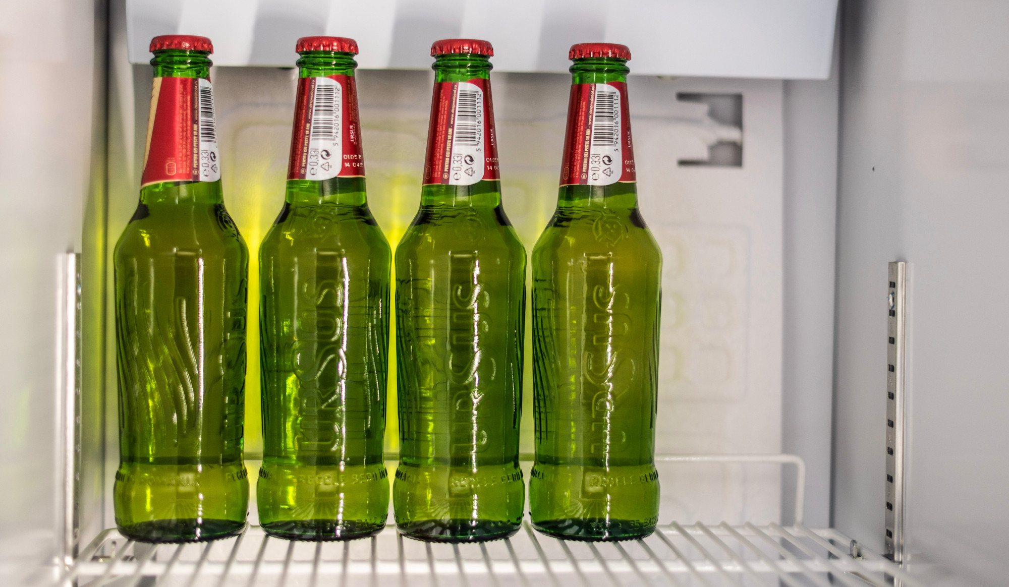 Bier im Kühlschrank