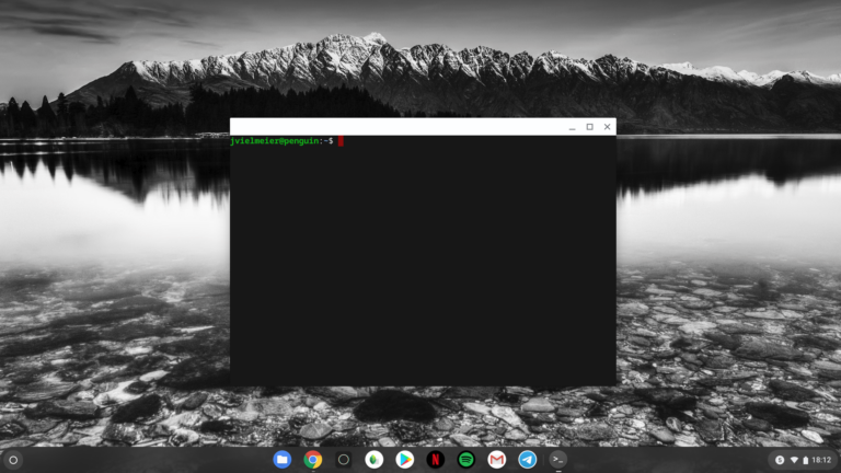 Linux (Project Crostini) auf Chrome OS 81: Erst einmal nur ein Terminal