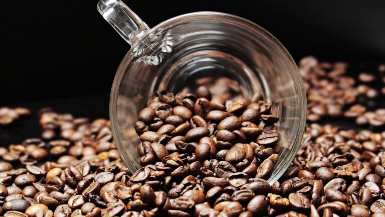 Auf ein Tässchen mit Euronics: Wie wir am liebsten Kaffee zubereiten