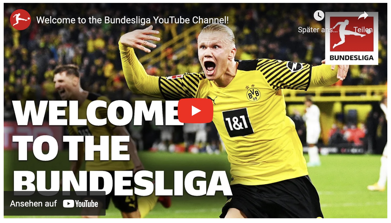 Bundesliga-Streaming Glücklich im Ausland