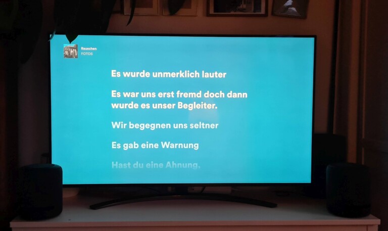 Auf dem großen TV macht das Mitsingen durchaus Spaß. (Foto: Sven Wernicke)