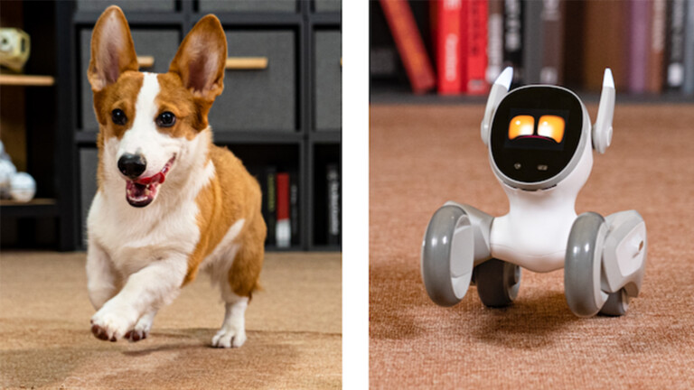 Roboter-Hund Loona vs. echter Hund: Wer ist das bessere Haustier?