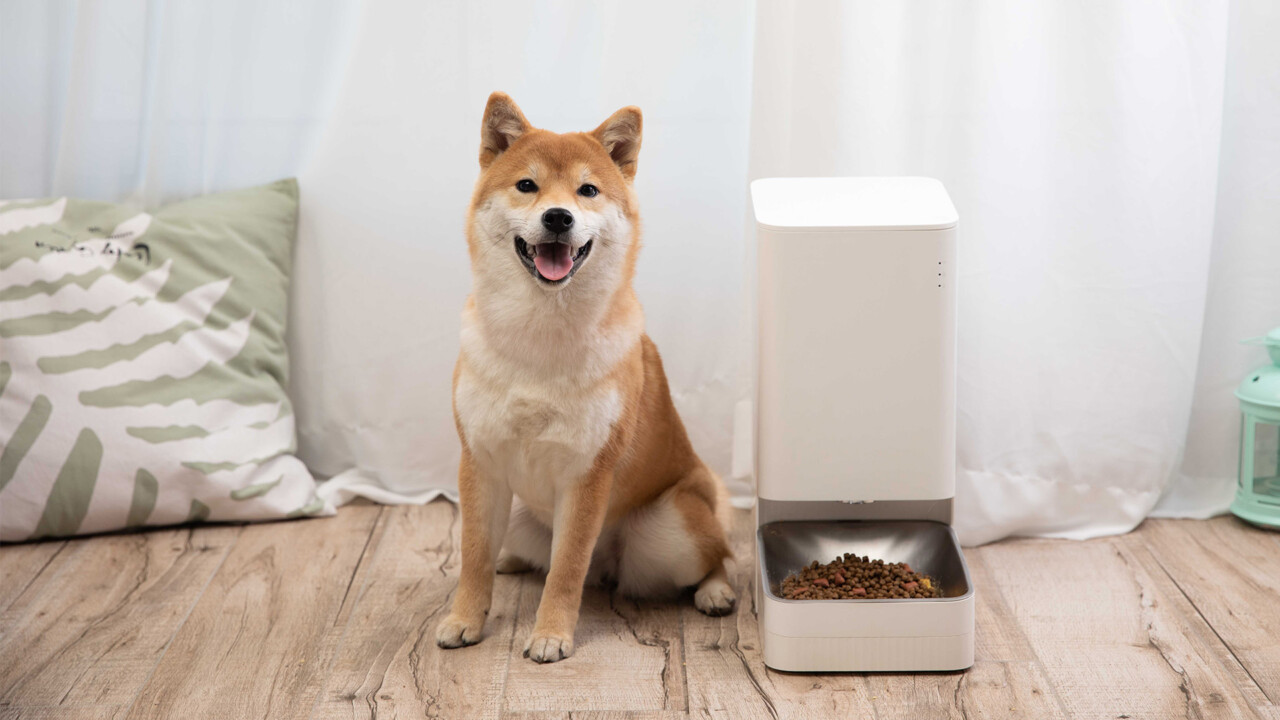 Xiaomi Food Feeder: Brauchen wir wirklich smarte Technik für unsere Haustiere?