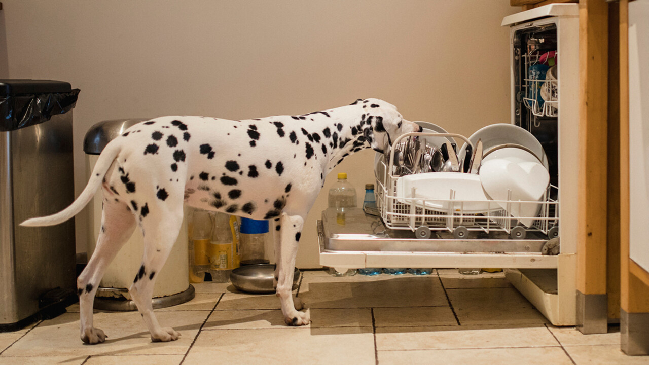 Geschirr aus der Spülmaschine stinkt – warum nur?