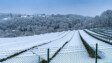 Aufmacher Solarpaneele Winter