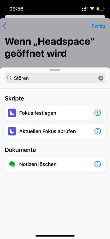 nicht stoeren App automatisch