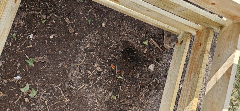 Kurz nach dem Bau des Kompost war das Loch einer Wühlmaus zu entdecken... (Foto: Sven Wernicke)