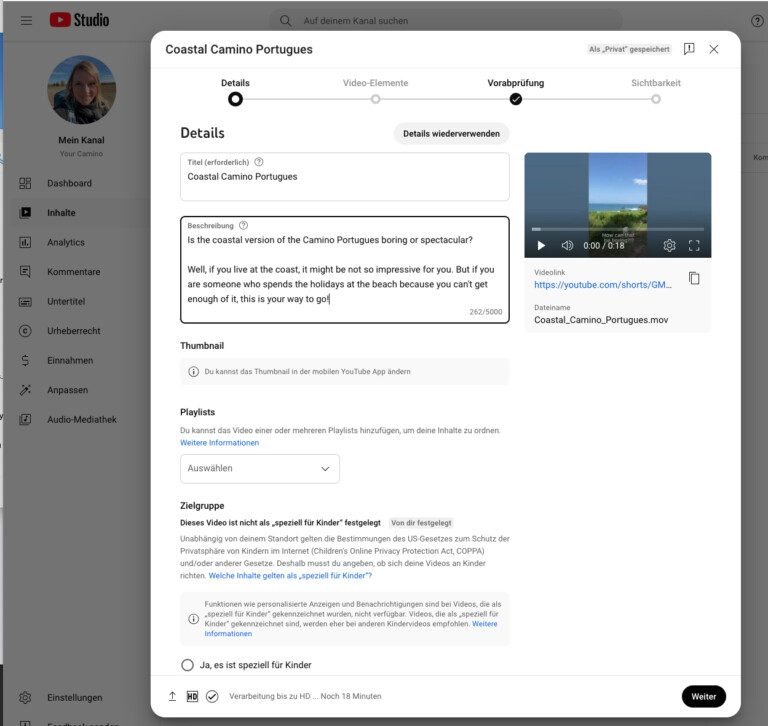 Youtube Video hochladen Details eintragen